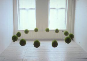 img06
