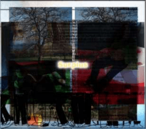 image (1)