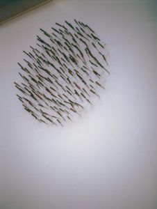 img02-8-226x300